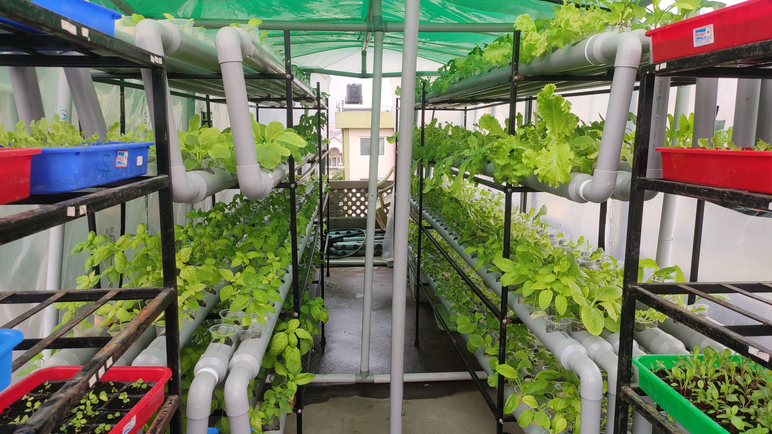 Hydroponics system according to your need image