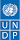 United Nations Development Programme (UNDP) image